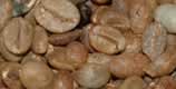 botsl_products_cafe